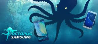 octopus box lg download